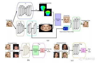 中科院科學家在生成對抗網絡人臉識別領域取得突破性進展